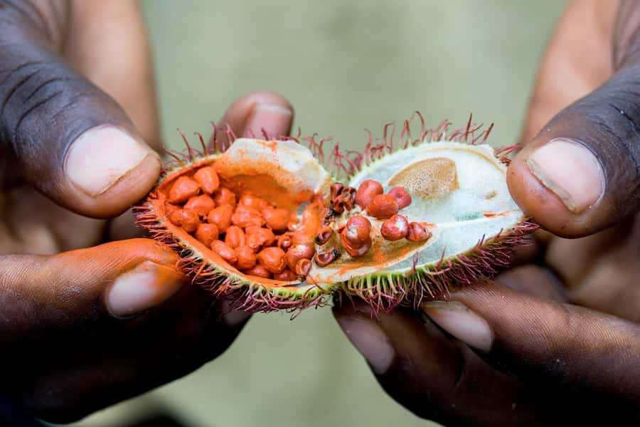 Spice Farm - spice up your life in Zanzibar - Pickup matters more than it sounds