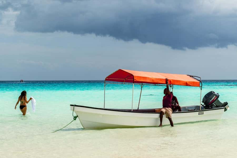 Spice farm,Stone town and Jozani forest tour with lunch - Tasting the island, including pilau lunch
