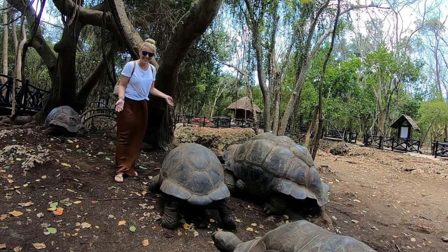 Spice farm,Stone town and Jozani forest tour with lunch - Walking through Zanzibar’s spice farm