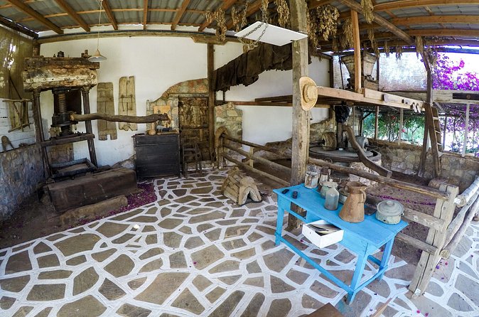 Spiridi Olive Oil Farm Tour - The family atmosphere and the unexpected moments