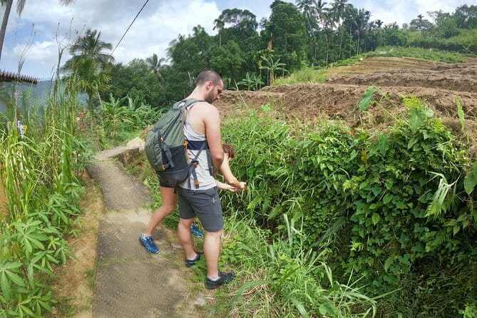 Sri Lanka All Inclusive Day Tour: Hiking & Activities Farmers Village Kandy - Heeloya and the old village justice system