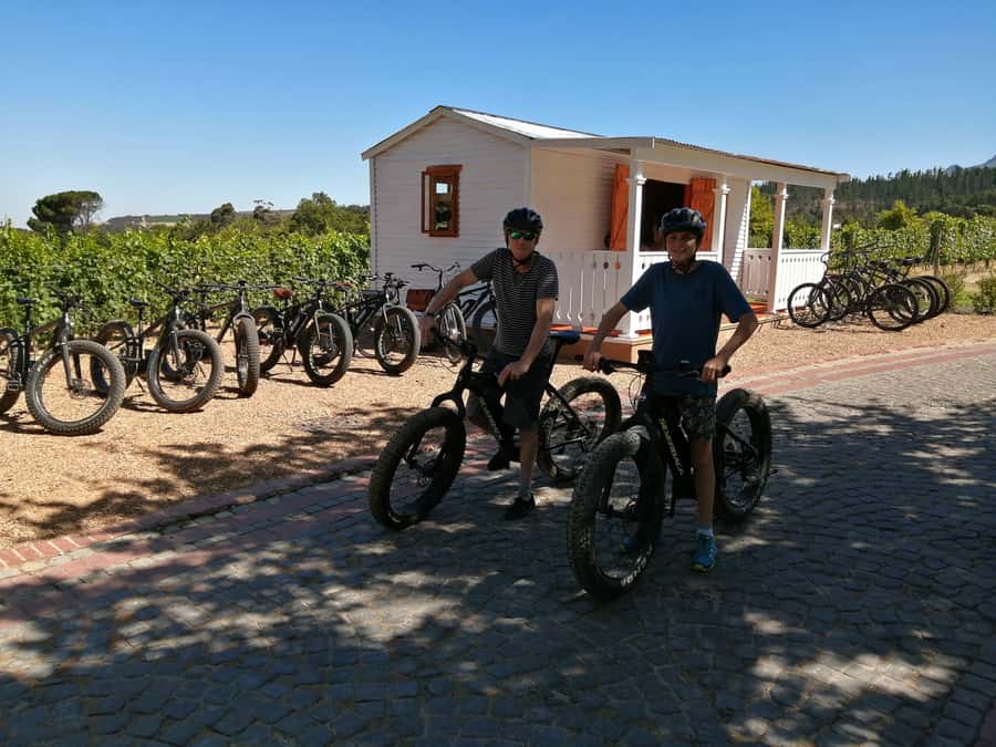 Stellenbosch: Wine Farm E-Bike Guided Tour - Key points at a glance