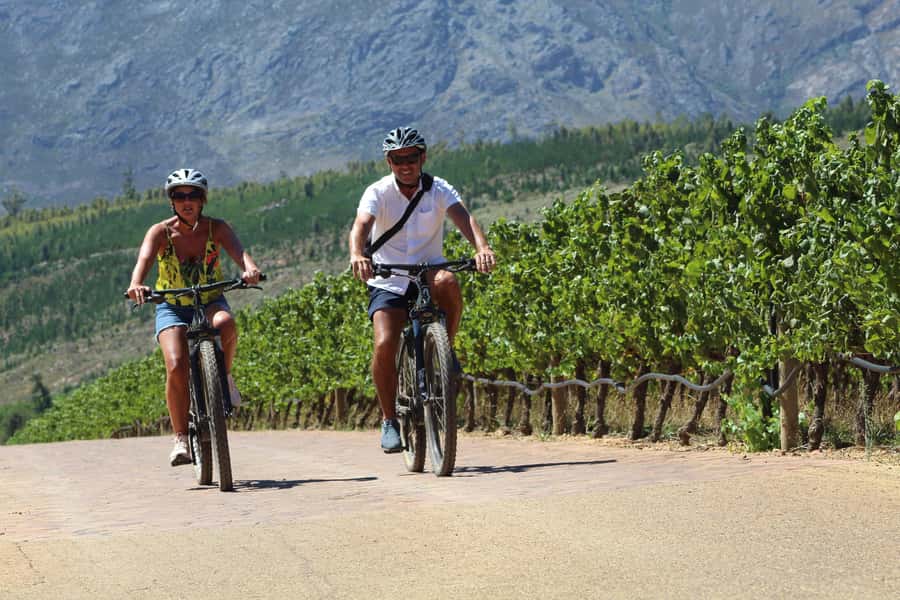 Stellenbosch: Wine Farm E-Bike Guided Tour - First wine-farm stop: about 30 minutes of tasting and free time