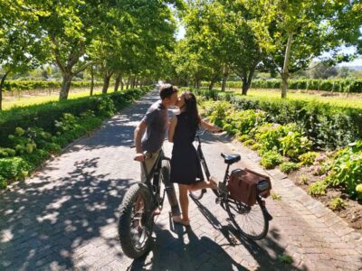 Stellenbosch: Wine Farm E-Bike Guided Tour