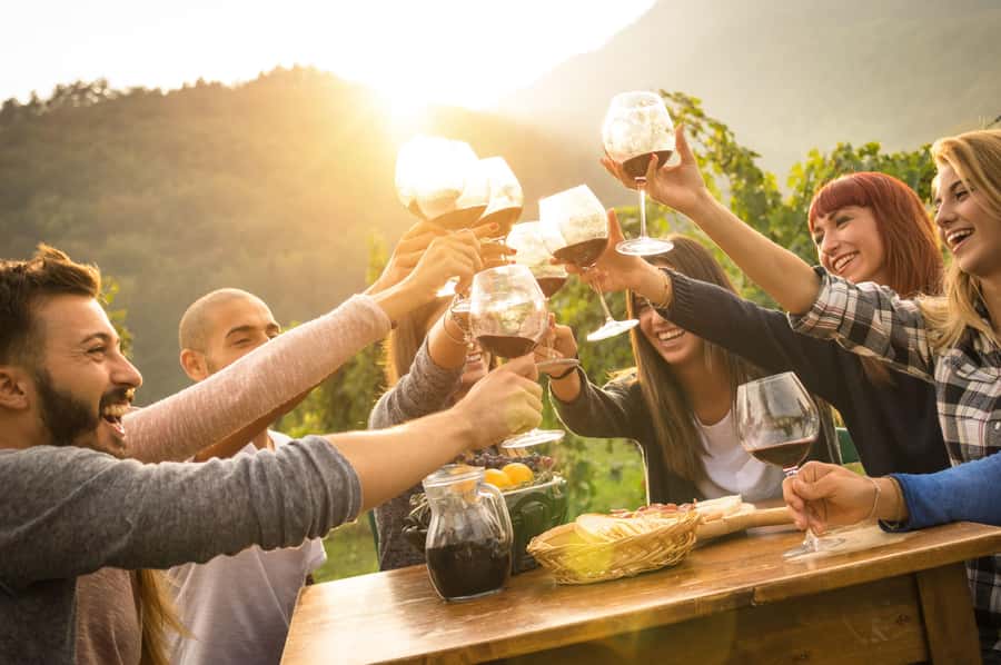 Stellenbosch: Wine Farm E-Bike Guided Tour - The longer second farm stop