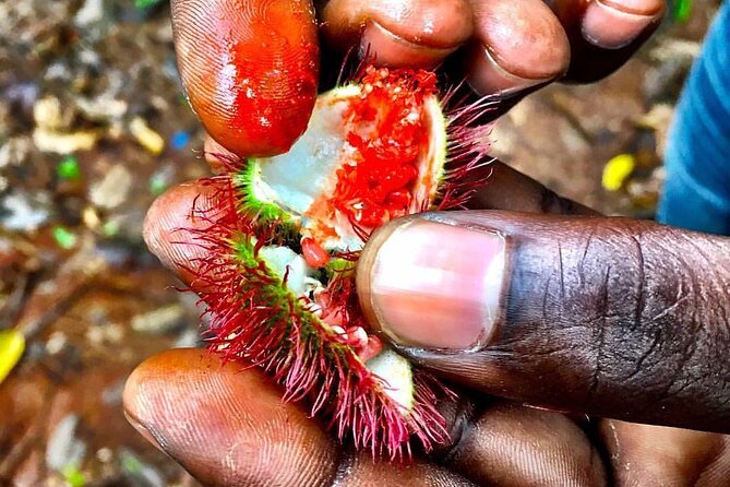 Stone City, Spice Farm and Prison Island Full Day Tour - Why this Zanzibar day works