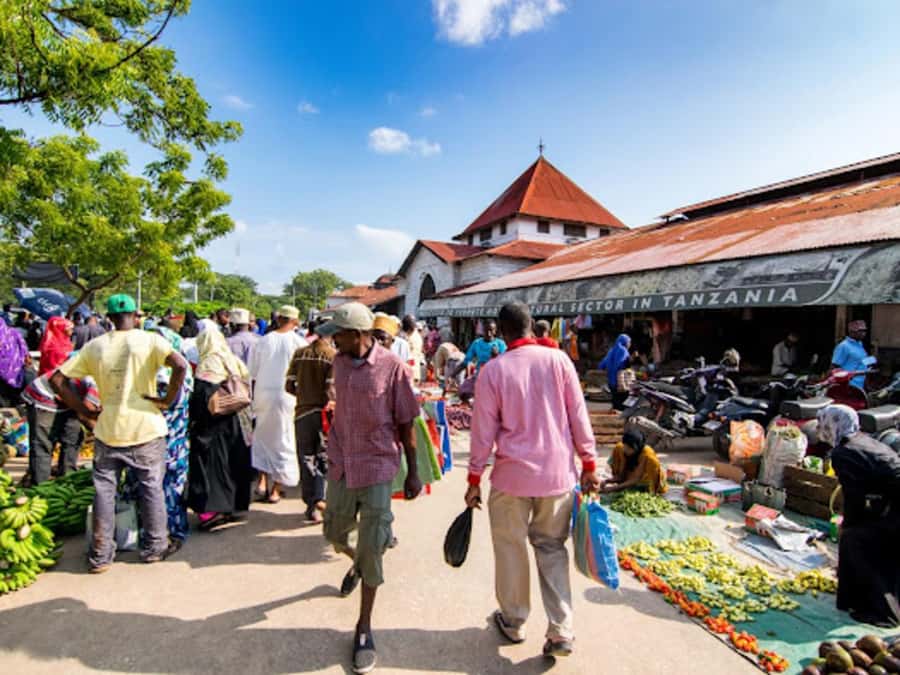 STONE TOWN AND SPICE FARM TOUR - Why Combine a Spice Farm With Stone Town?