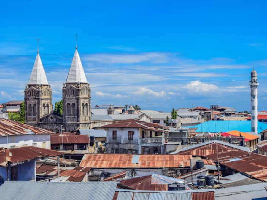 STONE TOWN AND SPICE FARM TOUR - Markets, Courtyards, and the Everyday City