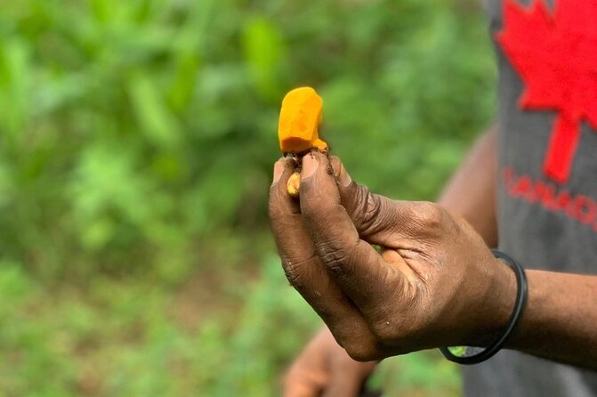 STONE TOWN and SPICE FARM TOUR ( Lunch Included ) - Walking through Stone Town’s old quarter