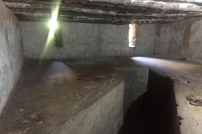 Stone Town, Spice Farm and Jozani Forest Private Tour - Key points at a glance
