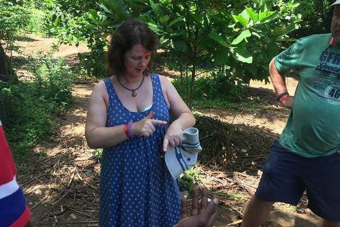 Stone Town, Spice Farm and Jozani Forest Private Tour - Jozani Forest and the red colobus monkeys
