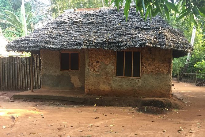 Stone Town, Spice Farm and Jozani Forest Private Tour - Pace, weather, and guide communication