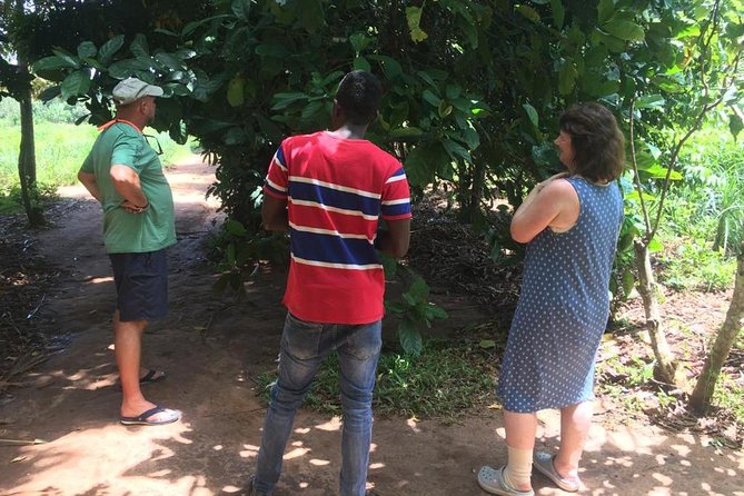 Stone Town, Spice Farm and Jozani Forest Private Tour - Who will enjoy this Zanzibar tour most