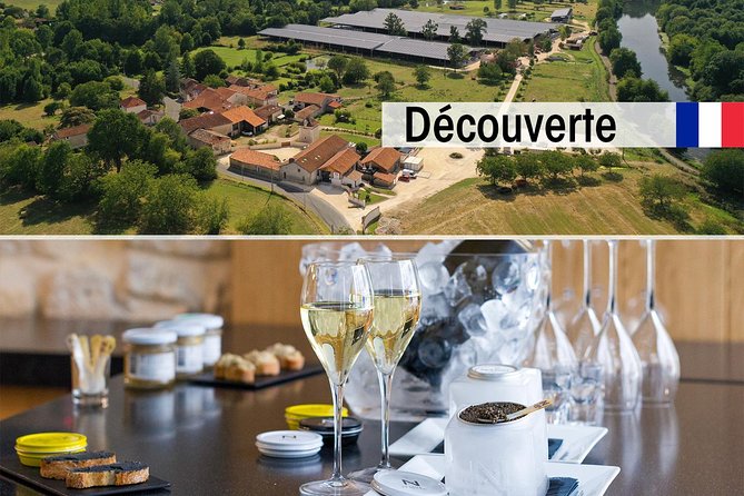 Sturgeon Fish-Farm Visit and Caviar Discovery Tasting in Neuvic - Key points to know before you go