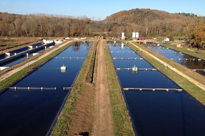 Sturgeon Fish-Farm Visit and Caviar Master Class Tasting in Neuvic - Getting to Domain Huso in Neuvic