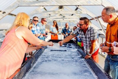 Sunset Kona Salt Farm Tour