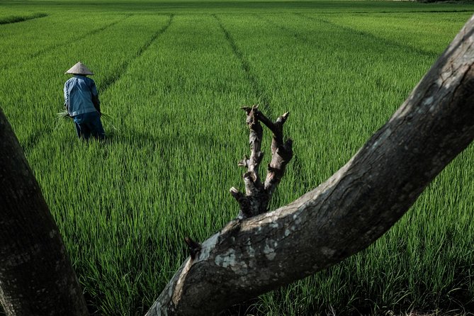 Sunset photo tour with the farmers - Returning to Hoi An for night photography