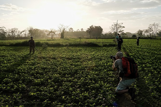 Sunset photo tour with the farmers - How the photography instruction works