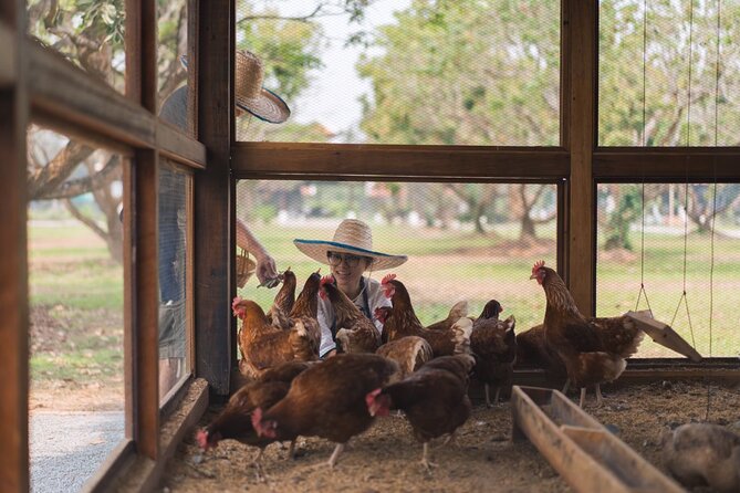 Sunset Thai Cooking with Grandma - Farm & Evening Feast - What the food portion is really like