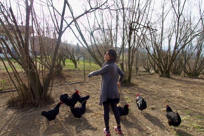 Sustainable Farm Tour & Northern Italian Cooking Class in Asti - What the $170 price includes