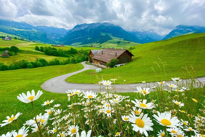 Switzerland Picturebook Private Tour: Farm, Villages, & Mountains - What the Private Format Adds