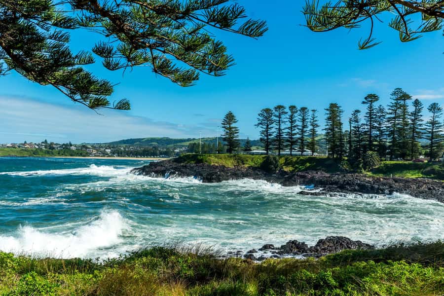 Sydney: Sea Cliff Bridge, Kiama Blowhole and Farmlands Tour - Jamberoo, Saddleback Mountain, and dairy country
