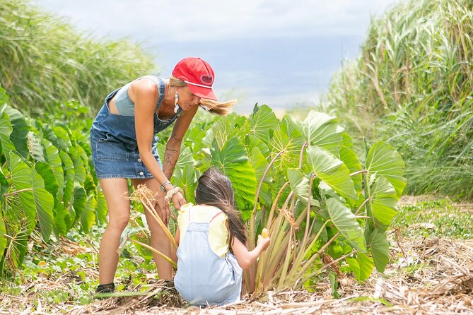 Taste of Hawaii: A Maui Farm Tour - Arriving at Lā Kāhea Community Farm at 10:30