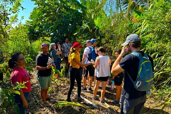 Taste of Hawaii: A Maui Farm Tour - Friendly pigs and the farm’s everyday character