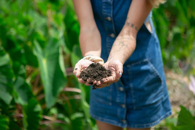 Taste of Hawaii: A Maui Farm Tour - The views toward Haleakalā and West Maui