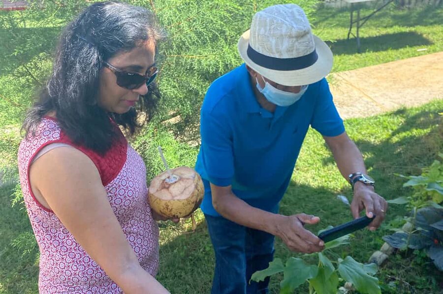 Taste of Jamaica Farm & Food Tour - Should You Book the Taste of Jamaica Farm Tour?