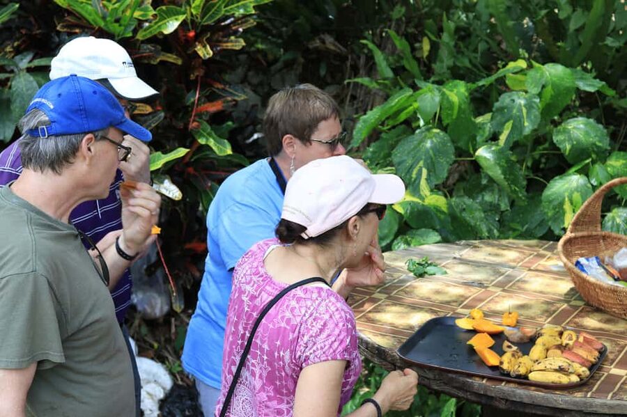 Taste of Jamaica Farm & Food Tour - Crops, Coffee, Fruit Trees, and Farm Animals