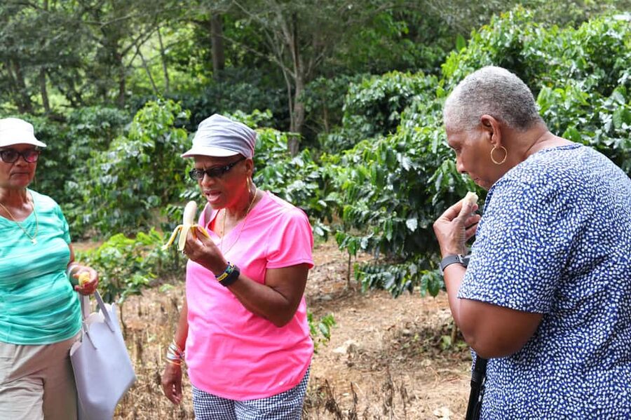 Taste of Jamaica Farm & Food Tour - Tasting Jamaican Ingredients Before Lunch