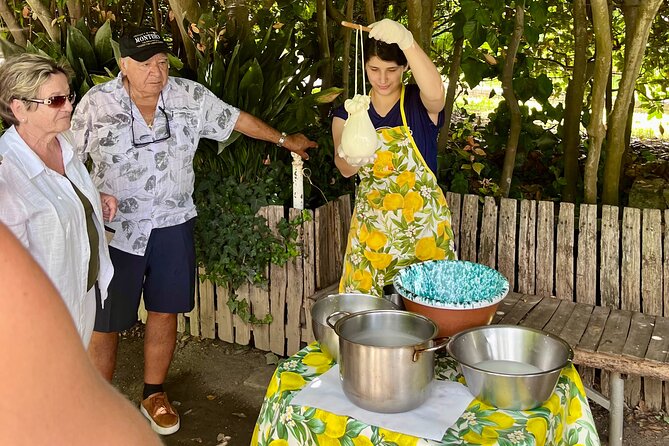 Tasting Limoncello, Oil and Typical Products in Farmhouse - Who Will Enjoy This Sorrento Farm Experience?