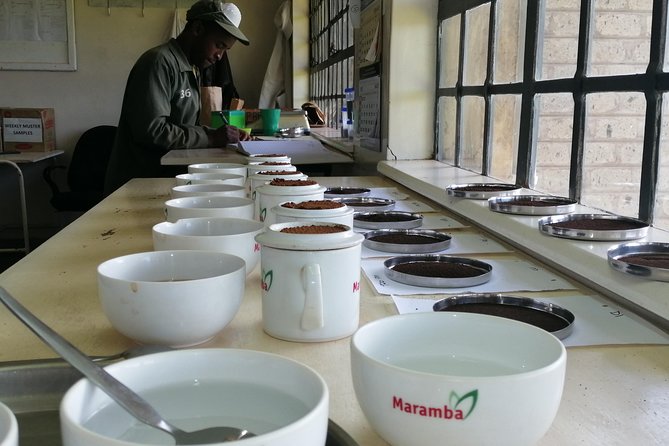Tea Farm Experience at Riara Tea Farm And Factory Tour - The timing issue you should settle first