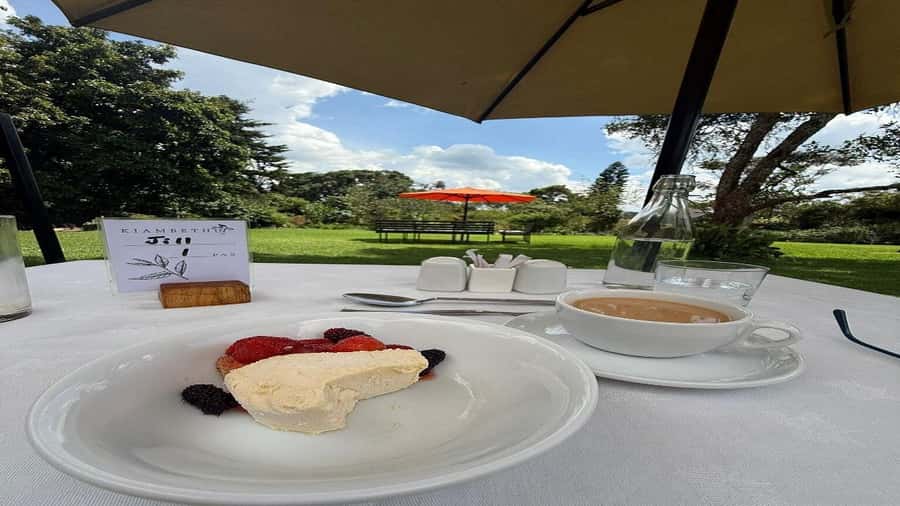 Tea Farm Tour From Nairobi (Kiambethu). - Timing, cancellations, and practical planning