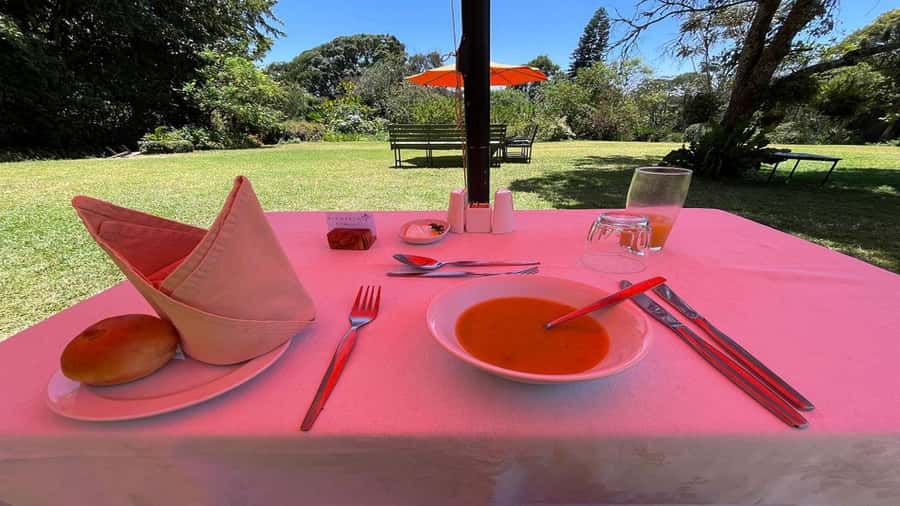 Tea Farm Tour From Nairobi (Kiambethu). - Pickup from Nairobi and the drive to Limuru