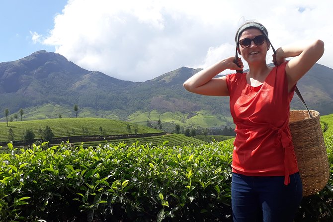 Tea Farm Tourism - Key things to know before booking