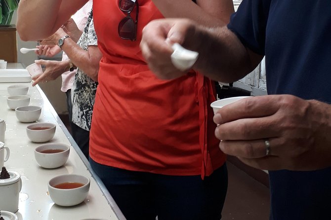 Tea Farm Tourism - Who will enjoy this experience most