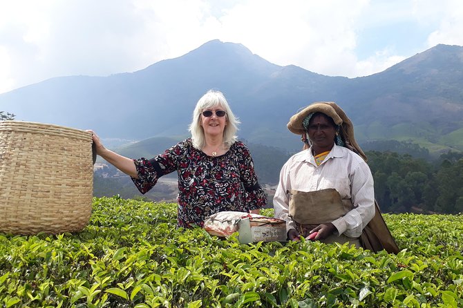 Tea Farm Tourism - Walking through the plantation slopes