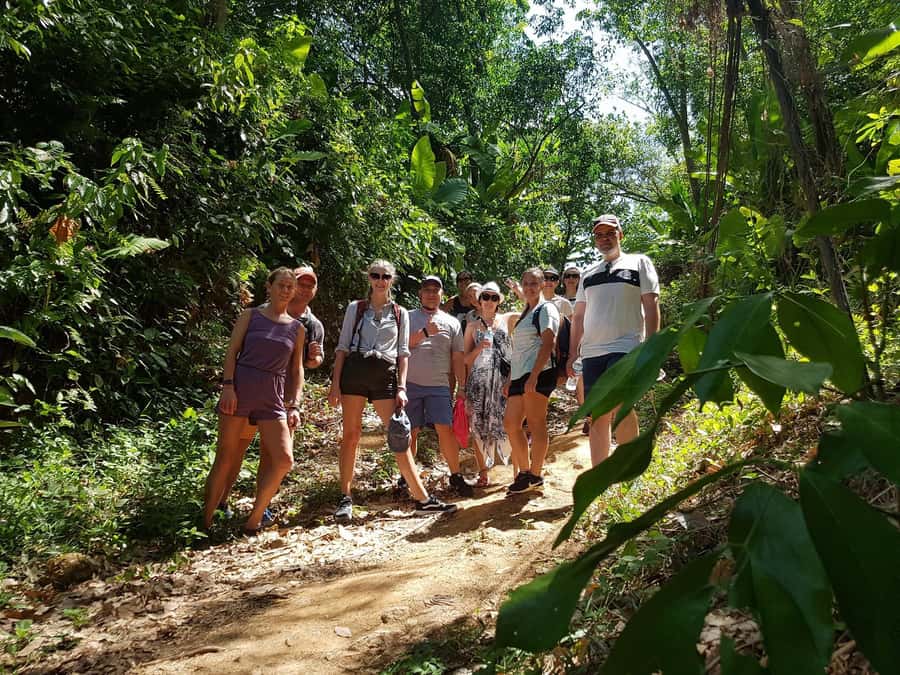 Temple and Jungle Trekking tour with Lunch at Farm-to-Table - Is $49 a Fair Phuket Tour Price?