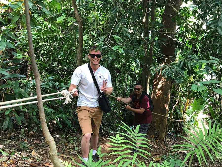 Temple and Jungle Trekking tour with Lunch at Farm-to-Table - Coconut, Thai Sweets, and a Forest View