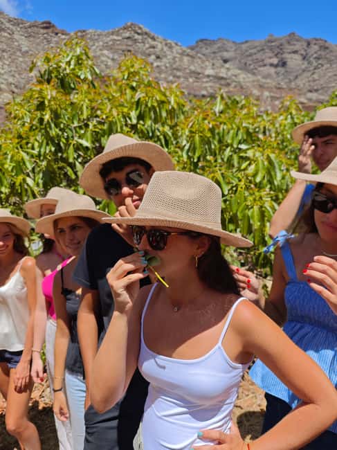 Tenerife: Avocado Farm Tour with Tasting Menu & Wine - Walking among avocado and subtropical fruit trees