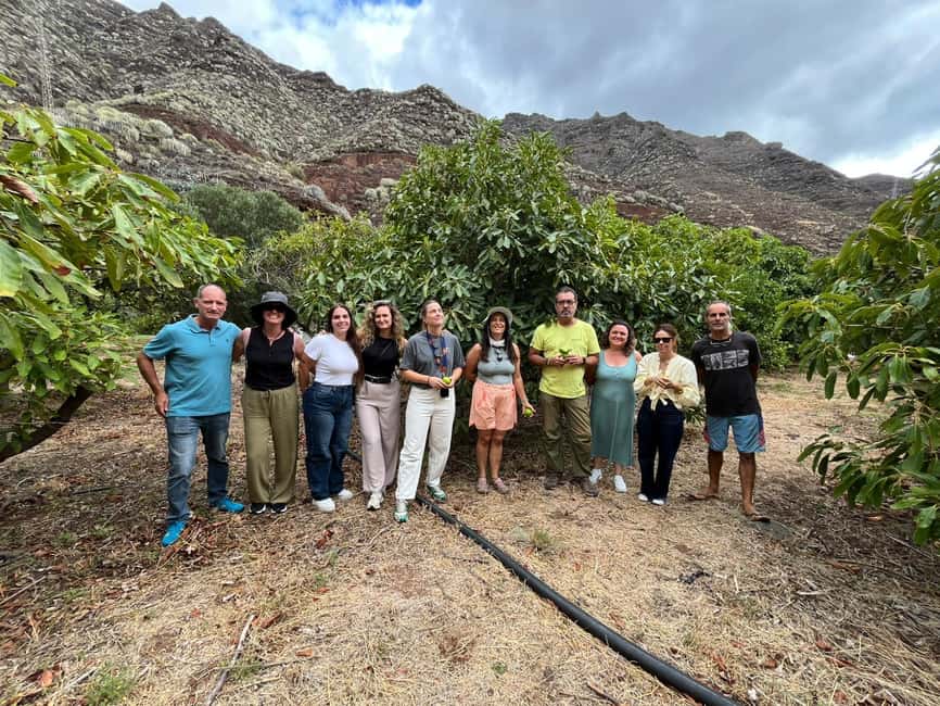 Tenerife: Avocado Farm Tour with Tasting Menu & Wine - Practical advice for a smoother visit