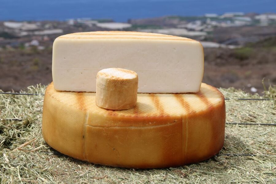 Tenerife - Farm Tour with Cheese Tasting - Key points at a glance