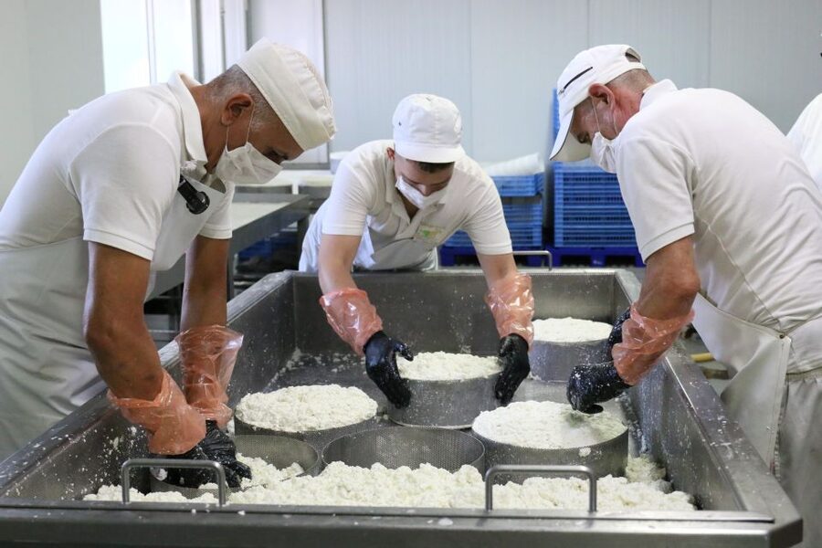 Tenerife - Farm Tour with Cheese Tasting - Meeting the goats and learning about the farm