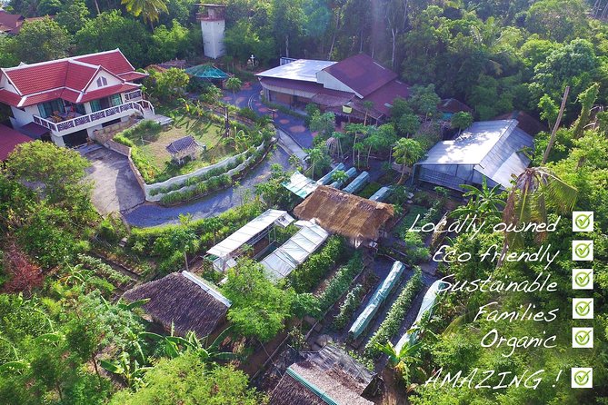 Thai Cooking Class | Since 2012 | Farm to Table - Curry paste, coconut cream, and herbal drinks