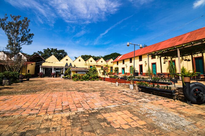 The Colors of Coffee in the Farms of Coatepec - Museo El Lencero and the World of Antonio López de Santa Ana