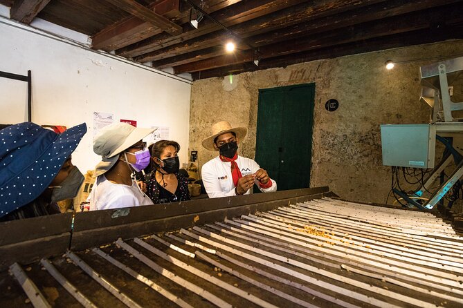 The Colors of Coffee in the Farms of Coatepec - Transport, Timing, and the Shape of the Day