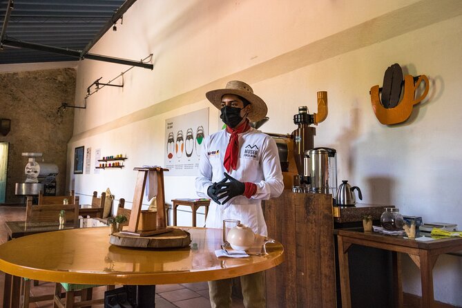 The Colors of Coffee in the Farms of Coatepec - The English Guide and Small-Group Advantage