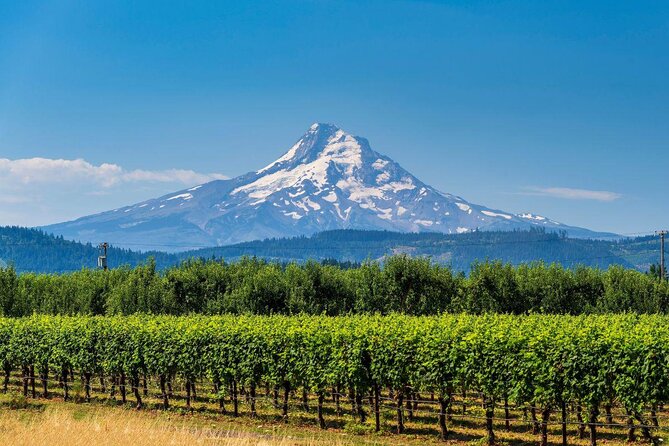 The Hood-Columbia Loop: Timberline, Orchards, and Waterfalls - Key reasons this Portland day trip works